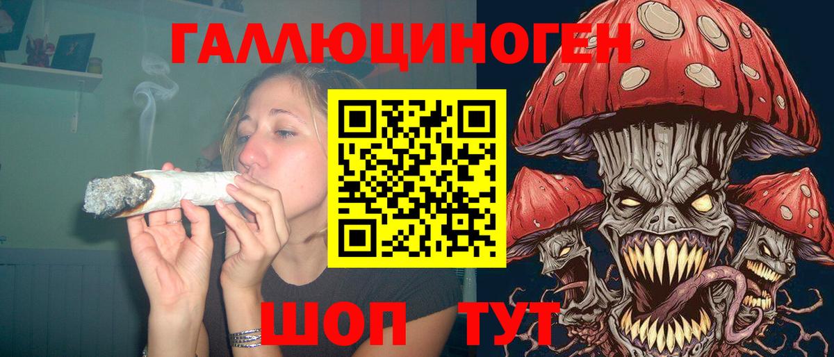 Галлюциногенные грибы MAGIC MUSHROOMS  Вход с VPN  Клин  Псилоцибиновые грибы Psilocybe 